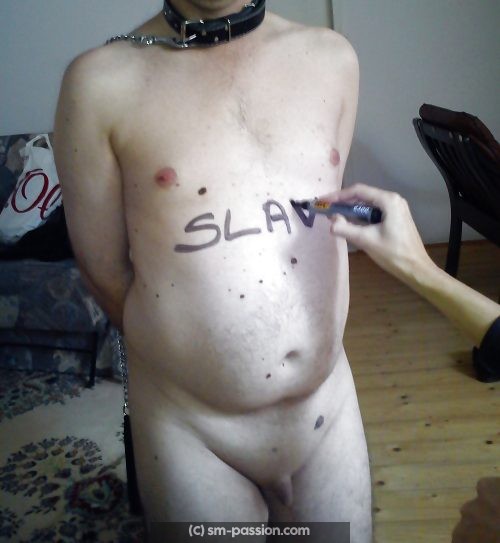 Viens ici petite larve, je cherche un slave